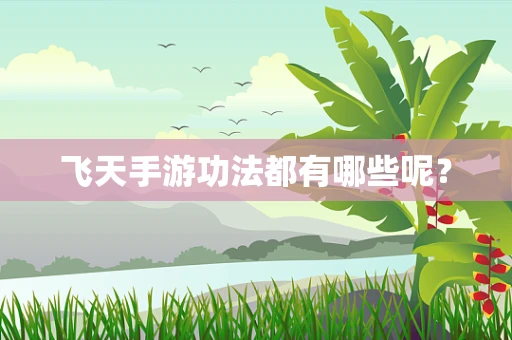 飞天手游功法都有哪些呢？