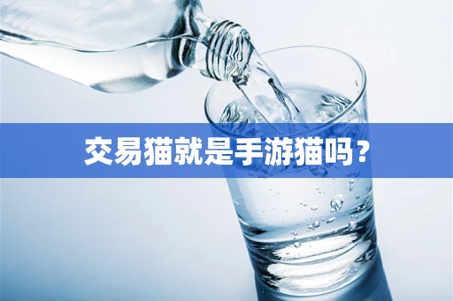 交易猫就是手游猫吗？