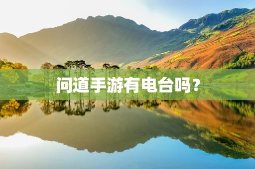 问道手游有电台吗？
