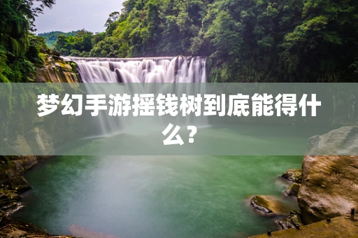 梦幻手游摇钱树到底能得什么？