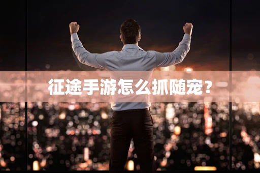 征途手游怎么抓随宠？
