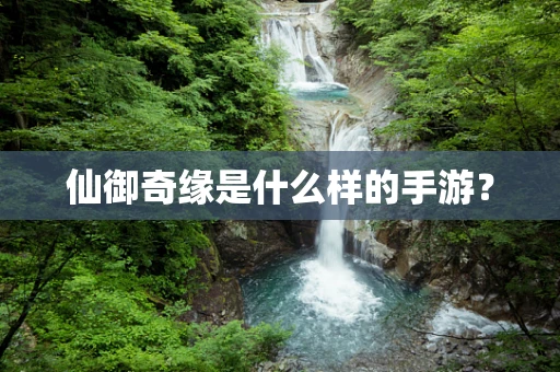 仙御奇缘是什么样的手游？