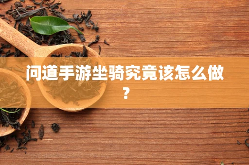 问道手游坐骑究竟该怎么做？