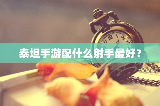 泰坦手游配什么射手最好？