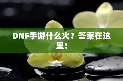 DNF手游什么火？答案在这里！