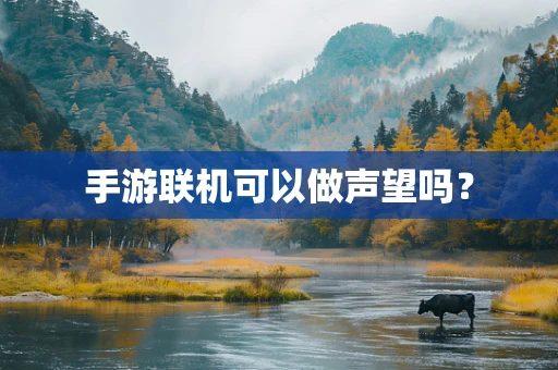 手游联机可以做声望吗？