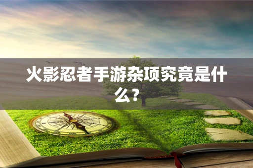 火影忍者手游杂项究竟是什么？