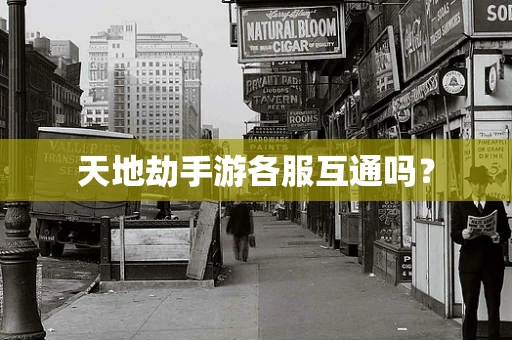 天地劫手游各服互通吗？