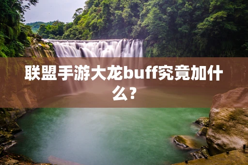 联盟手游大龙buff究竟加什么？