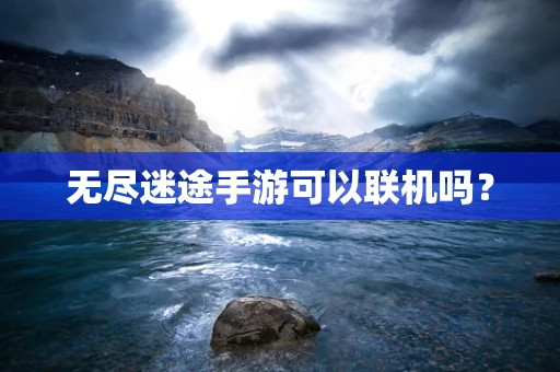 无尽迷途手游可以联机吗？