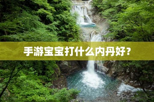 手游宝宝打什么内丹好？