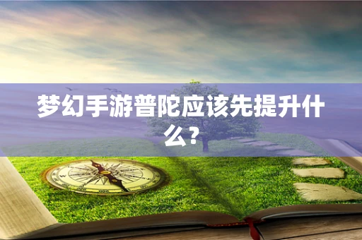 梦幻手游普陀应该先提升什么？