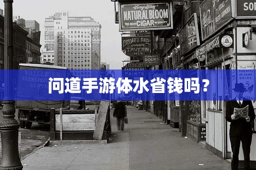 问道手游体水省钱吗？