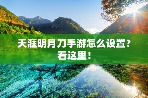 天涯明月刀手游怎么设置？看这里！