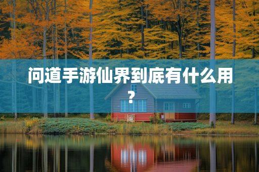 问道手游仙界到底有什么用？