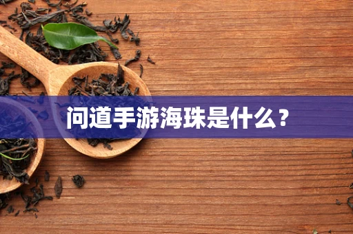 问道手游海珠是什么？