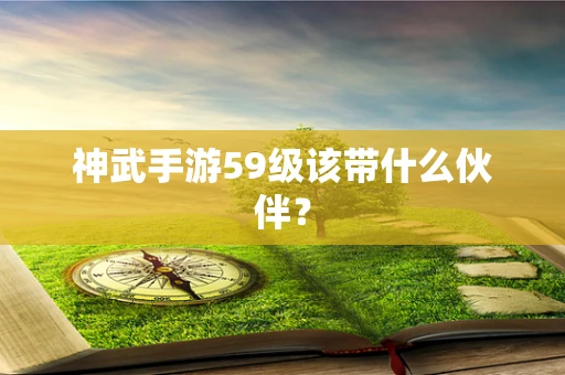 神武手游59级该带什么伙伴？