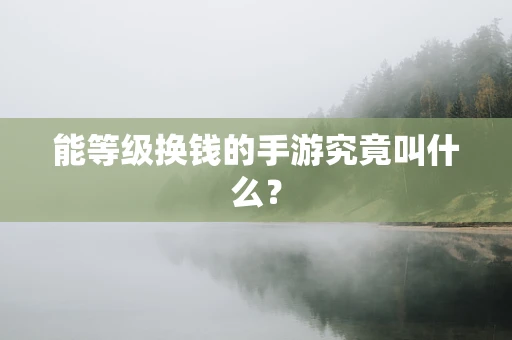 能等级换钱的手游究竟叫什么？
