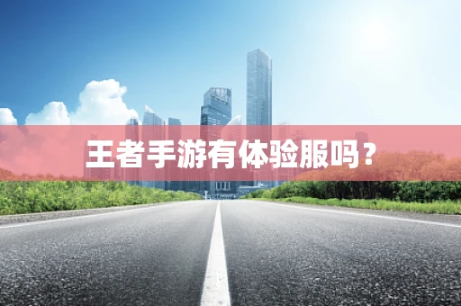 王者手游有体验服吗？