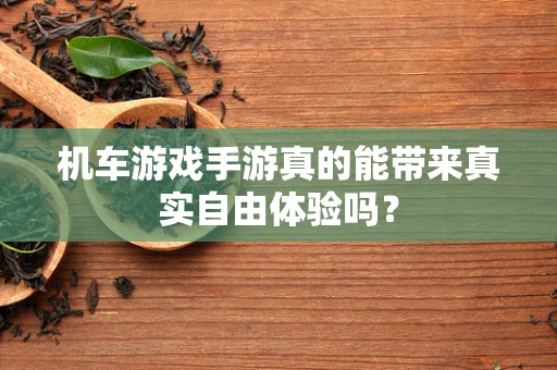 机车游戏手游真的能带来真实自由体验吗？