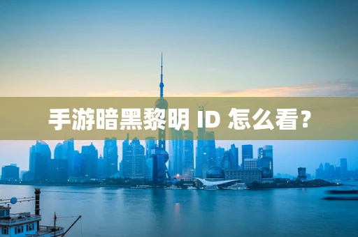手游暗黑黎明 ID 怎么看？