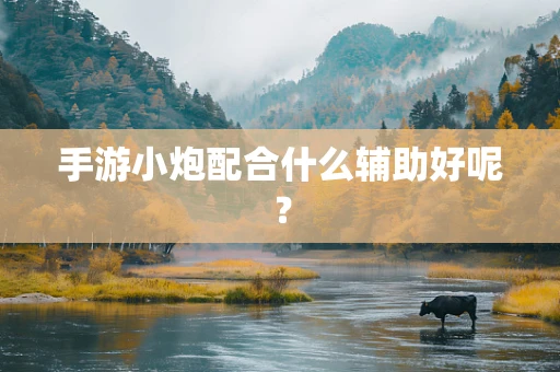 手游小炮配合什么辅助好呢？