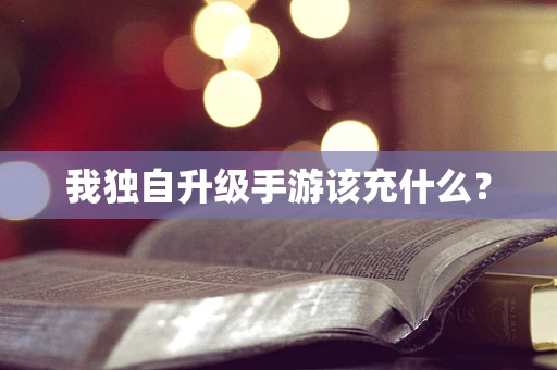 我独自升级手游该充什么？