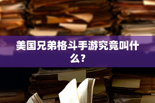 美国兄弟格斗手游究竟叫什么？