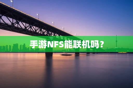 手游NFS能联机吗？