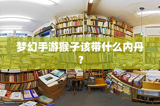 梦幻手游猴子该带什么内丹？