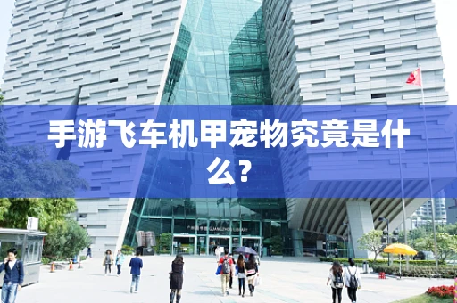 手游飞车机甲宠物究竟是什么？