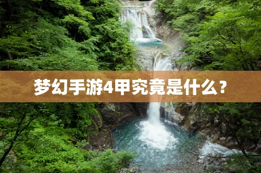 梦幻手游4甲究竟是什么？
