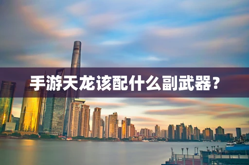 手游天龙该配什么副武器？