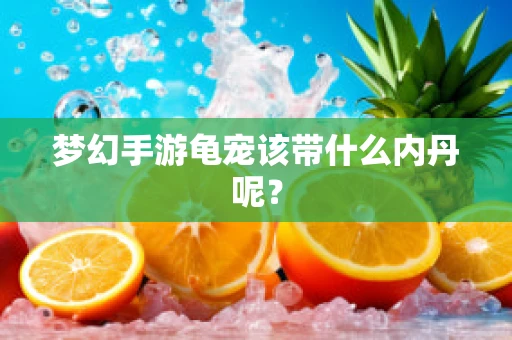 梦幻手游龟宠该带什么内丹呢？