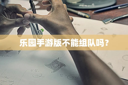 乐园手游版不能组队吗？