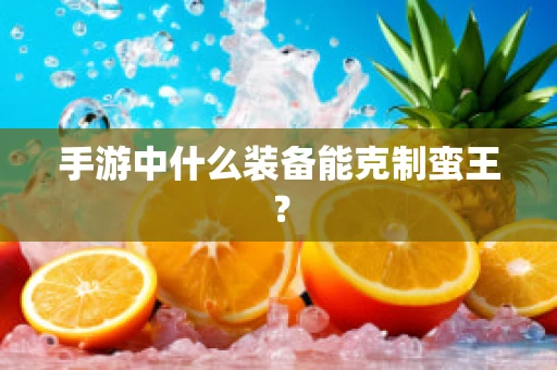 手游中什么装备能克制蛮王？