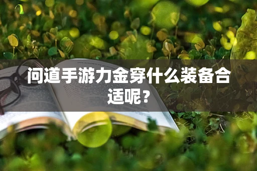 问道手游力金穿什么装备合适呢？
