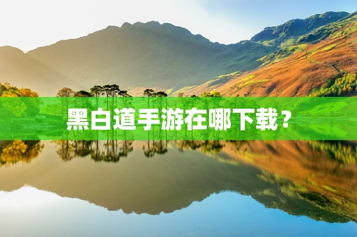 黑白道手游在哪下载？