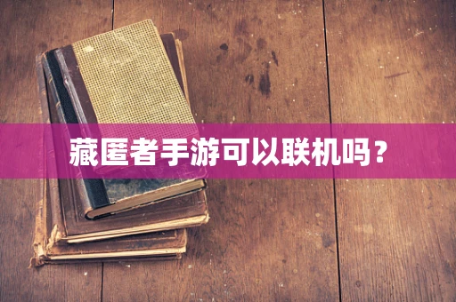 藏匿者手游可以联机吗？