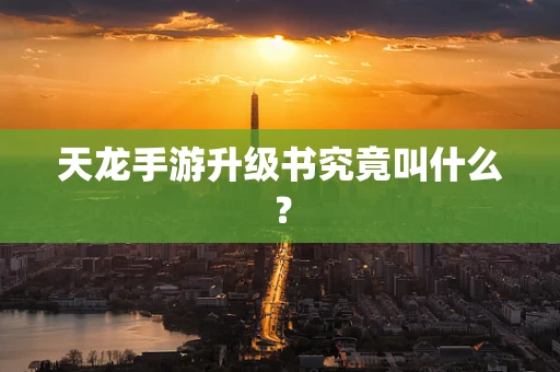 天龙手游升级书究竟叫什么？