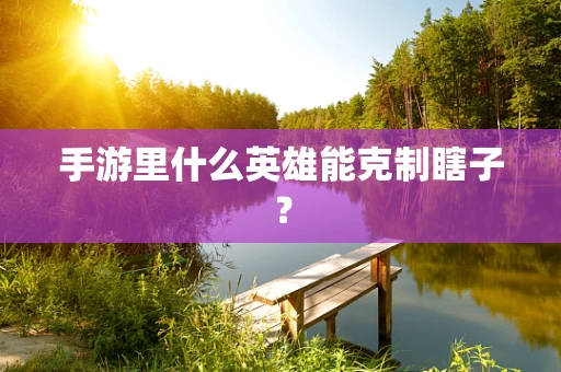手游里什么英雄能克制瞎子？