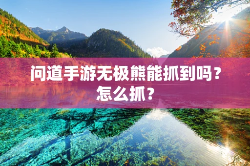 问道手游无极熊能抓到吗？怎么抓？