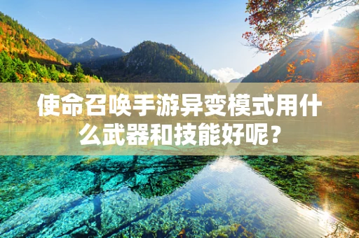 使命召唤手游异变模式用什么武器和技能好呢？