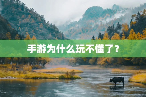 手游为什么玩不懂了？