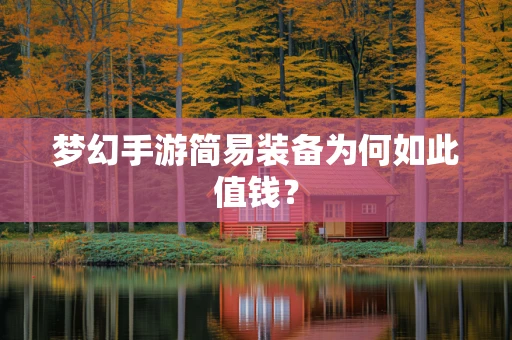 梦幻手游简易装备为何如此值钱？