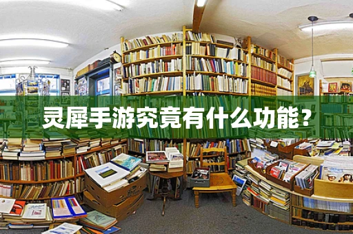 灵犀手游究竟有什么功能？