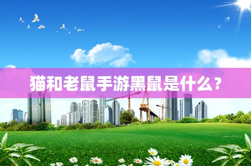 猫和老鼠手游黑鼠是什么？