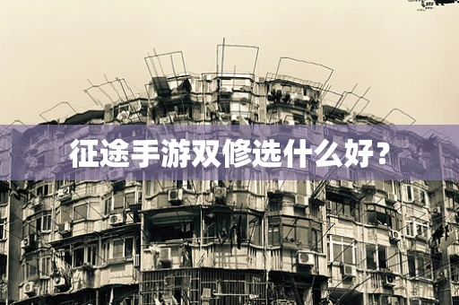 征途手游双修选什么好？