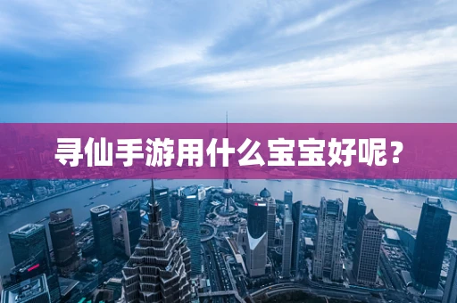 寻仙手游用什么宝宝好呢？