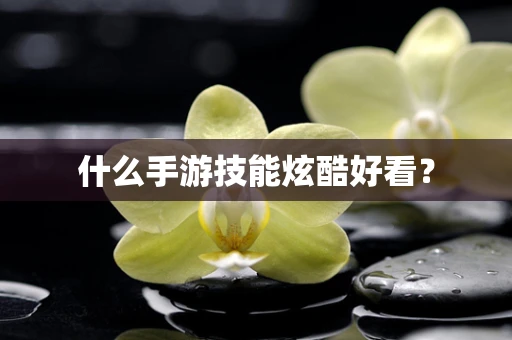 什么手游技能炫酷好看？
